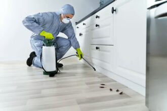 pest control strategies in Prescott