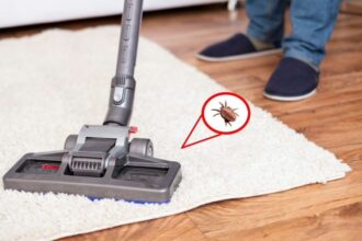 Flea Pest Control