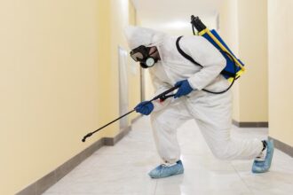 scorpion pest control